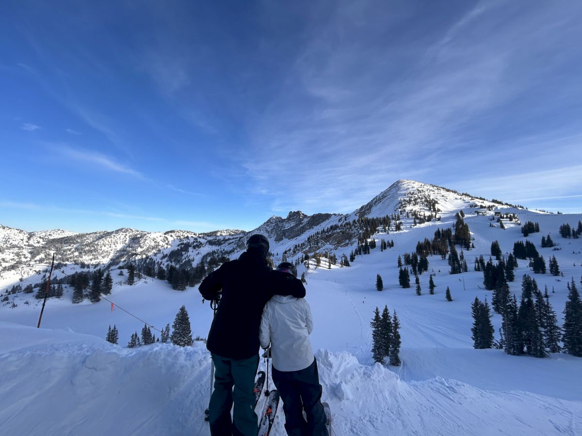 Two skiers stand on a snowy mountain overlooking pine valleys and a bright blue sky, ready for downhill runs.