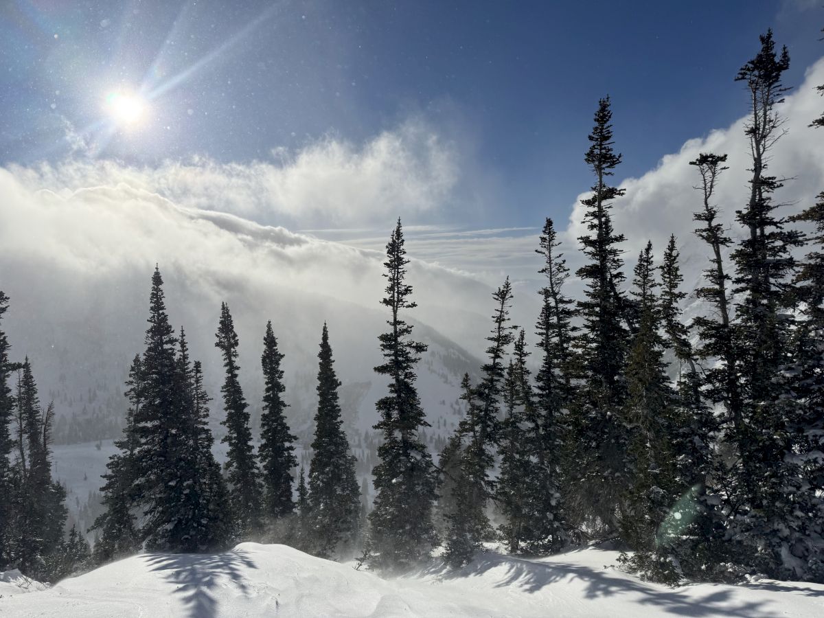 Snowy mountainside with tall pine trees, misty valleys, and sunbeams breaking through clouds.