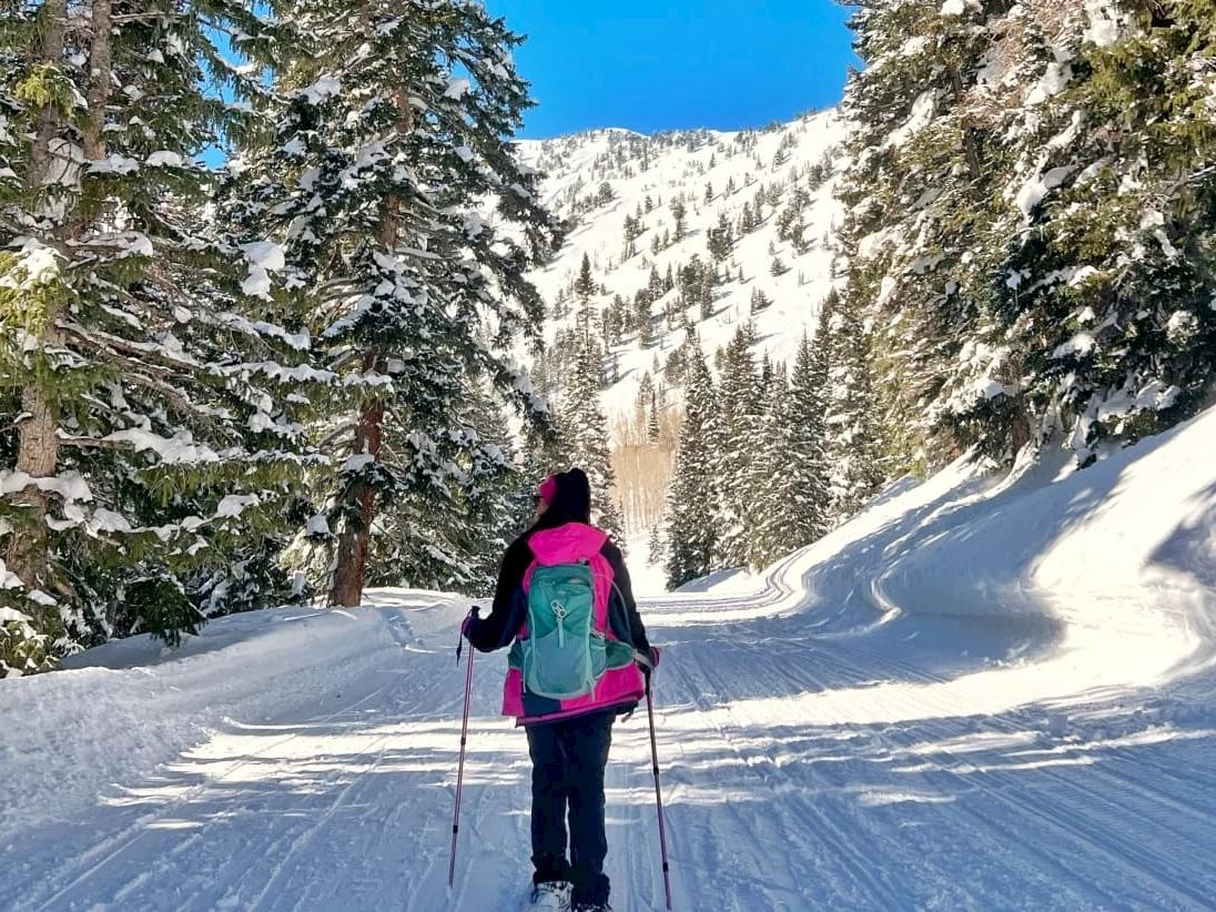 A skier trekking up a snowy mountain trail through pine trees with poles and a bright backpack under clear blue skies.