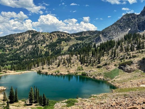 A turquoise mountain lake sits in a valley of pine forests beneath rugged rocky peaks under a blue sky.