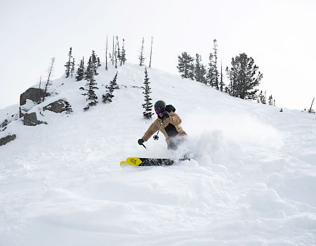 Snowpine Lodge