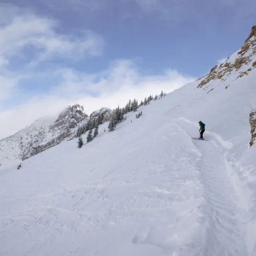 A skier carves through fresh powder on a snowy mountain slope beneath rocky cliffs and pine trees.