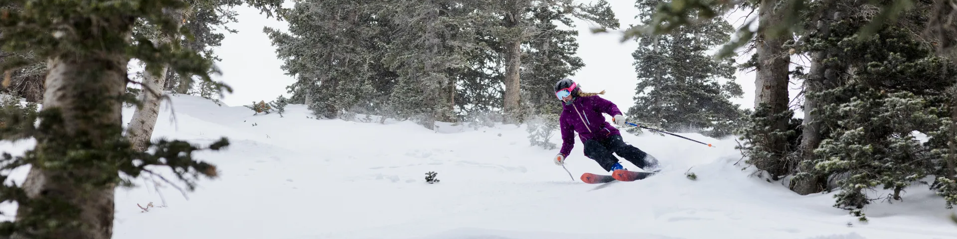 A snowboarder in a purple jacket glides through snowy woods, weaving between tall trees in winter snowfall.
